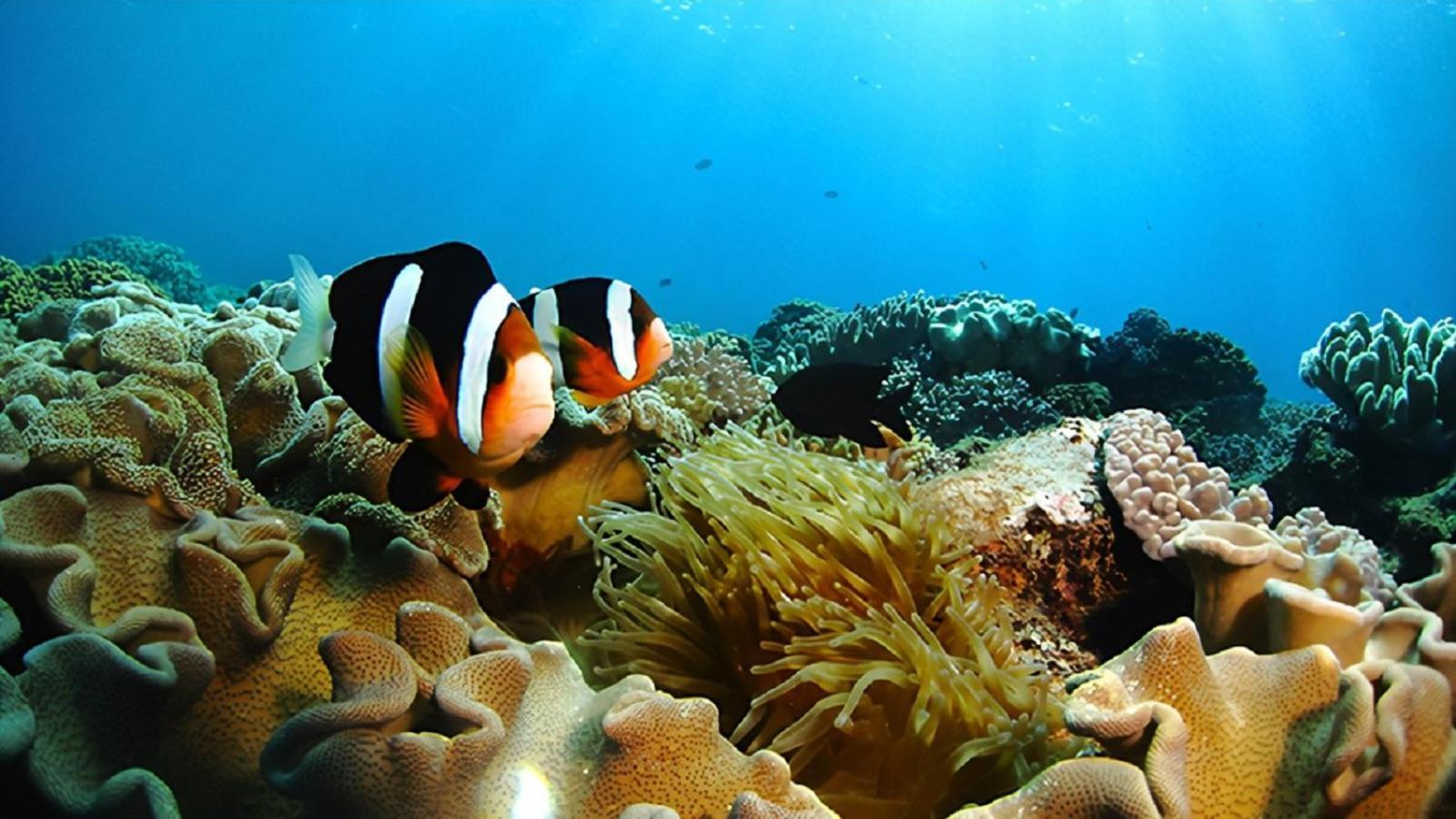コテージ花 موتوبو المظهر الخارجي الصورة